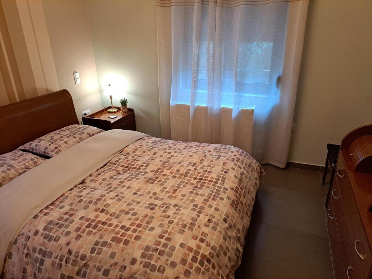 Modern Residence In The Center Of Trikala エクステリア 写真
