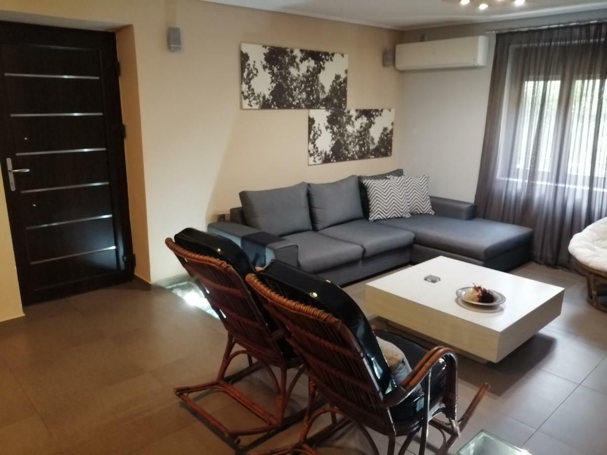 Modern Residence In The Center Of Trikala エクステリア 写真